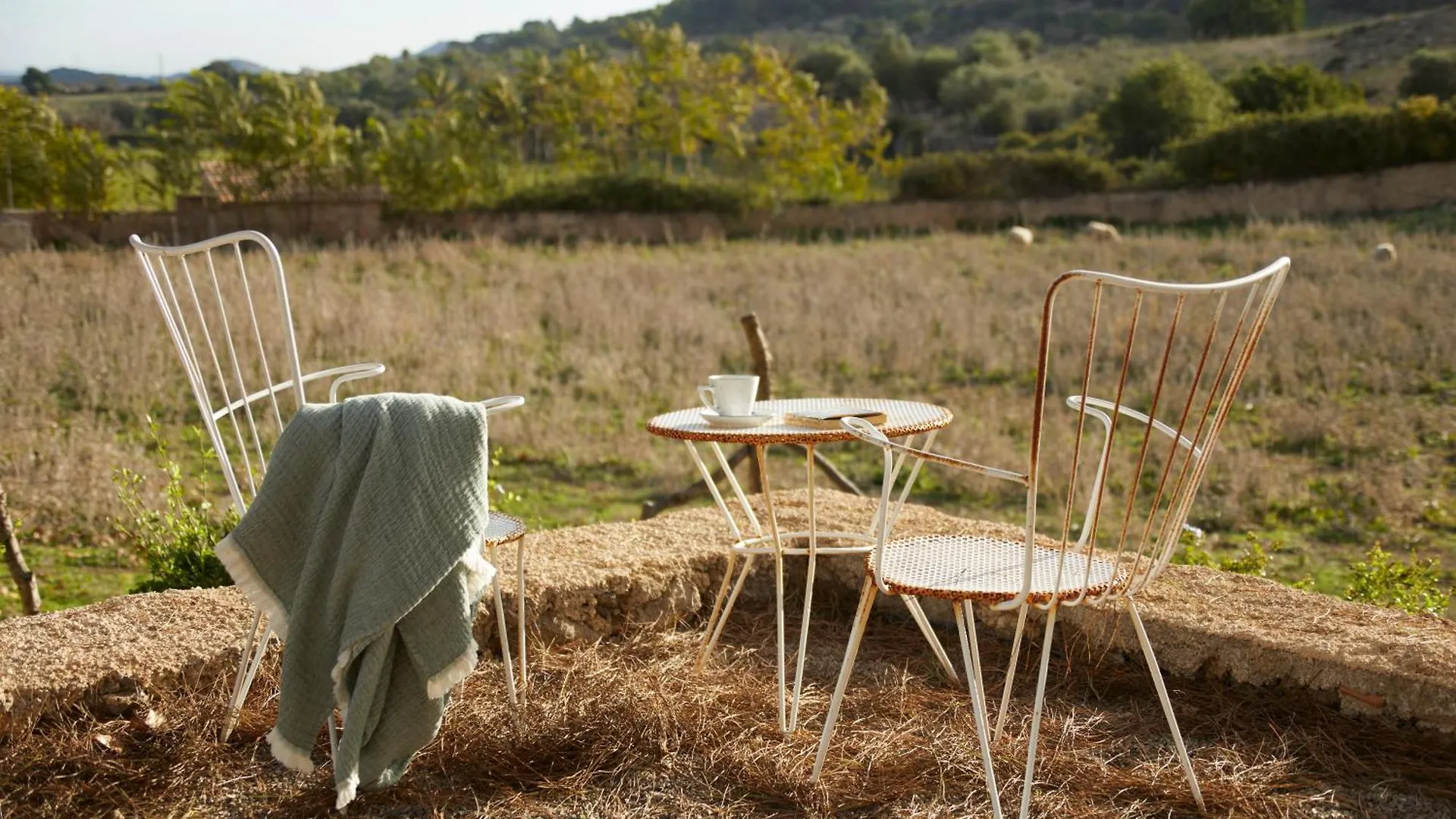 Feriegård Finca Sestelrica Villa Artá Spanien