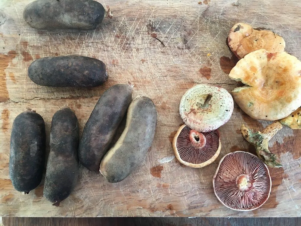 Agroturismo Finca Sestelrica Artà España
