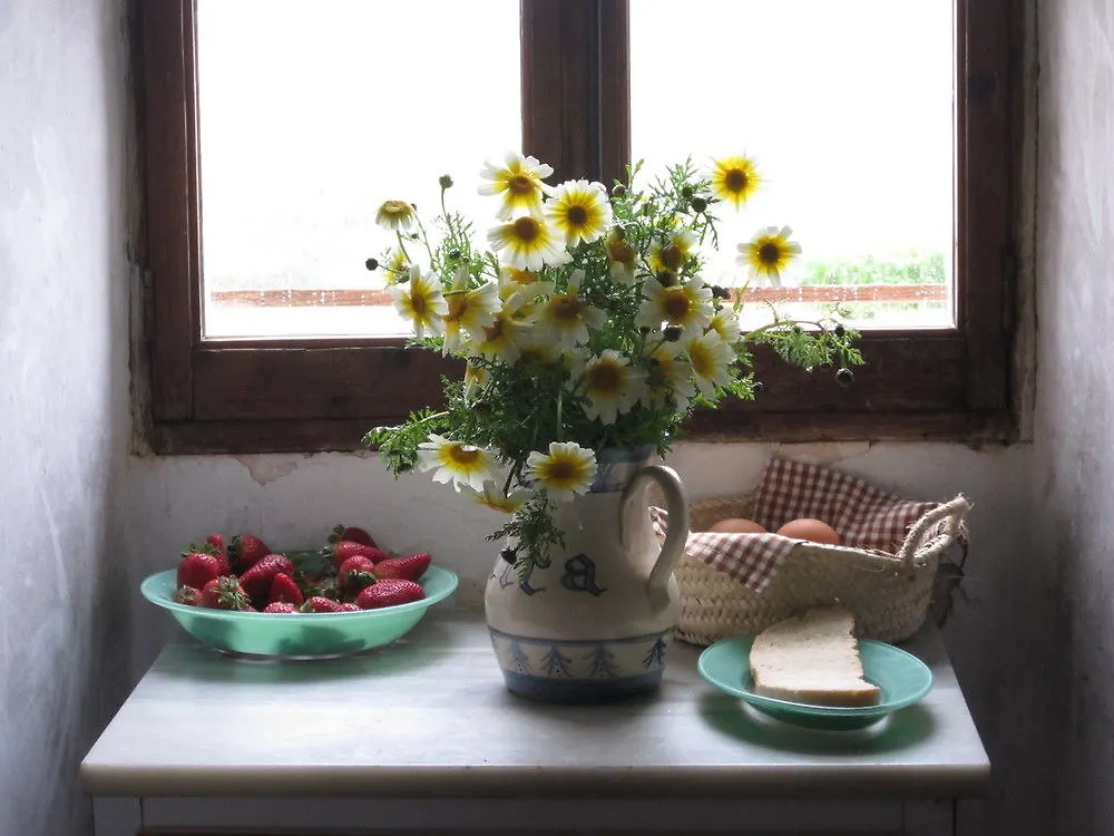 Finca Sestelrica Artà